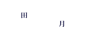 �]�g���[�j���O�N�C�Y�@�����p�Y��