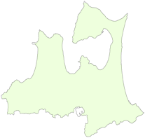 �]�g���[�j���O�N�C�Y�@�s���{�������ăN�C�Y