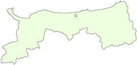 �]�g���[�j���O�N�C�Y�@�s���{�������ăN�C�Y