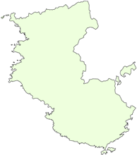 �]�g���[�j���O�N�C�Y�@�s���{�������ăN�C�Y