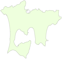 �]�g���[�j���O�N�C�Y�@�s���{�������ăN�C�Y