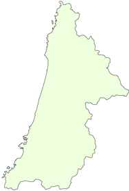 �]�g���[�j���O�N�C�Y�@�s���{�������ăN�C�Y